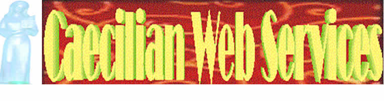 Caecilian Web Services Banner Image